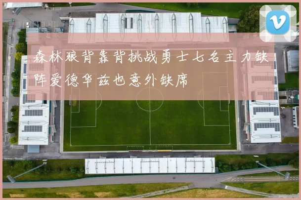 森林狼背靠背挑战勇士七名主力缺阵爱德华兹也意外缺席